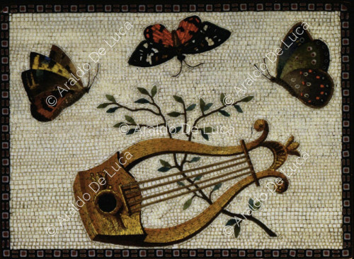 Farfalle e strumento musicale