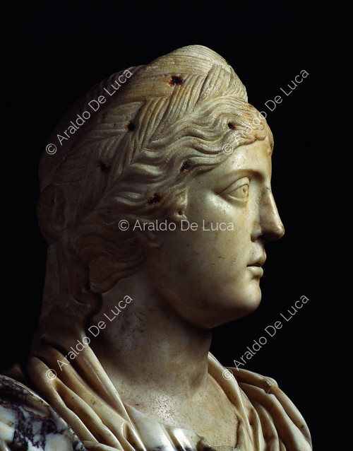 Female bust.Head detail,profile