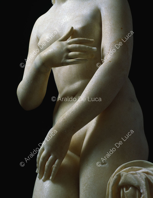 Venus Capitolina, detalle vista desde abajo