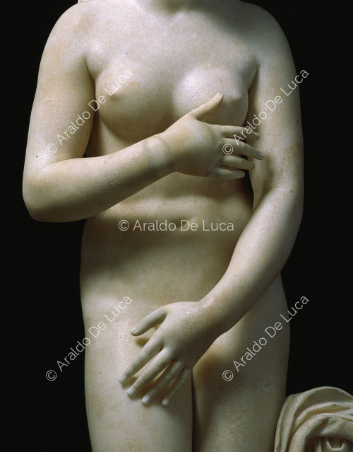 Capitoline Venus. Detail