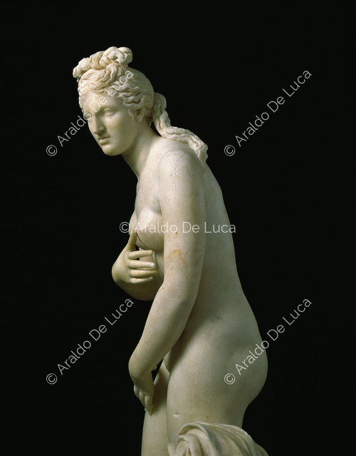 Kapitolinische Venus, Detail im Profil gesehen