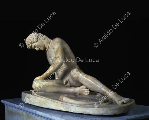 Esta escultura no representa a un gladiador, como se creía, sino a una galata moribunda. Es una copia romana de un original griego de bronce de la Escuela de Pérgamo, y probablemente formaba parte de un grupo que conmemoraba la victoria de Atalo I, rey de Pérgamo. La nobleza y el sufrimiento del cuerpo moribundo están representados con notable sensibilidad, lo que la convierte en una de las obras más bellas de la Antigüedad.