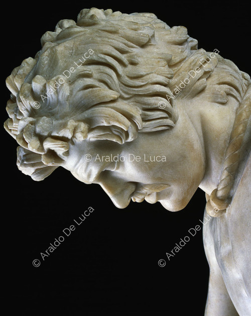 Statue des sterbenden Galata. Detail des Kopfes