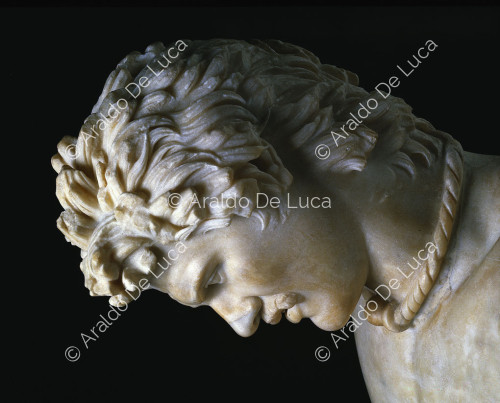Statue des sterbenden Galata. Detail des Kopfes