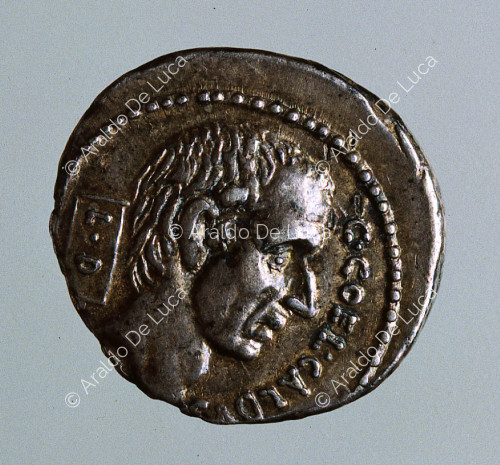 Cabeza del cónsul C. Coelius Caldus , denario republicano del cónsul C. C. Caldus