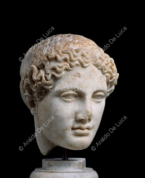 Head of Hera Borghese