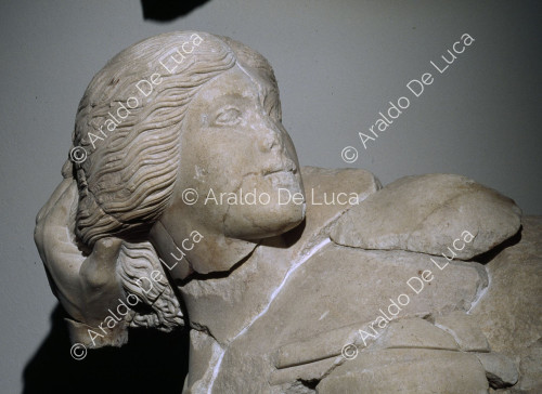 Scheda in fase di compilazione
