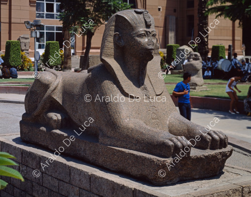 Sphinx de Thutmosi III, à l'extérieur du musée