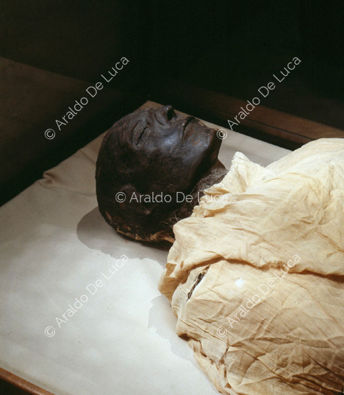 Mummia di Seti I