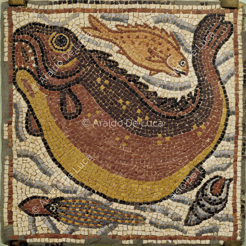 Mosaico policromo con scena marina