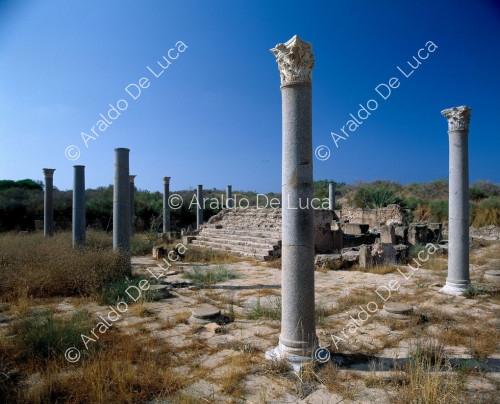 Columnas de estilo corintio