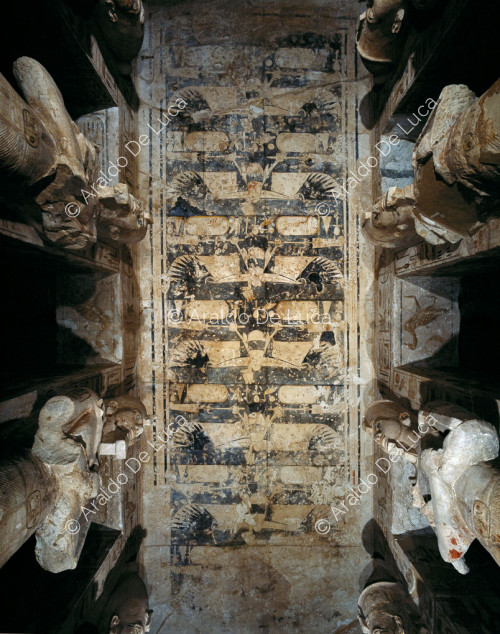 Grande salle à piliers : détail du plafond avec la déesse vautour Nekhbet