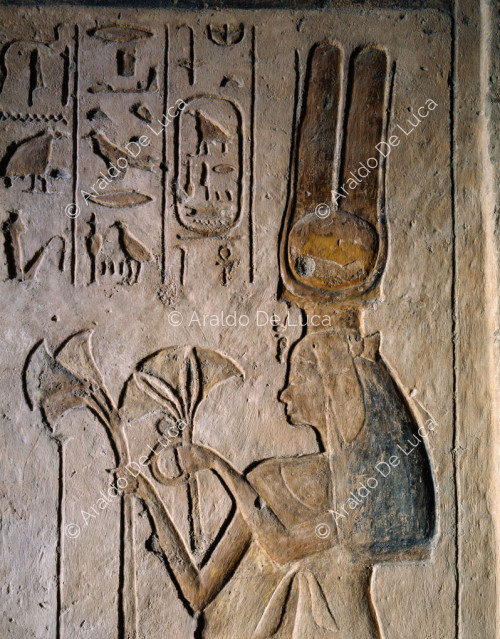 Nefertari (particolare)