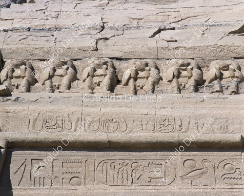 Tempio di Abu Simbel: particolare del fregio di facciata