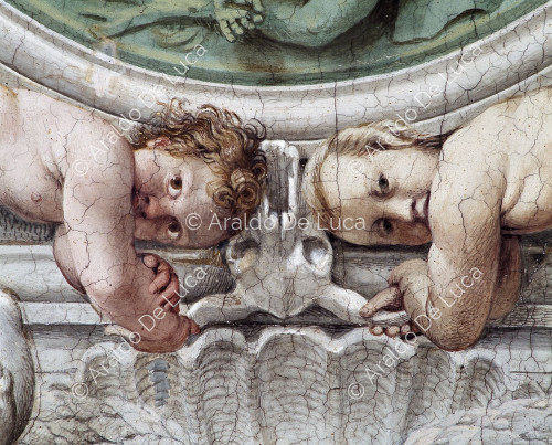 Carracci Gallery. Fresco with putti. Detail