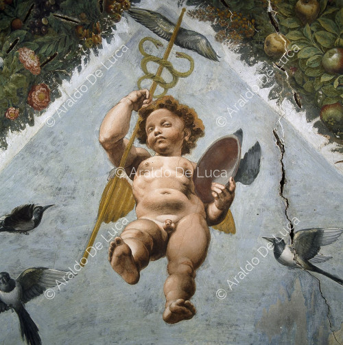 'Cupido con los atributos de Hermes' Detalle Logia de Psiche
