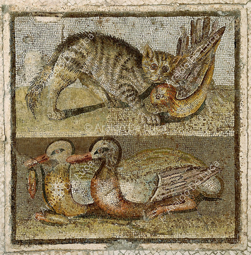 Mosaïque avec chat et oiseaux