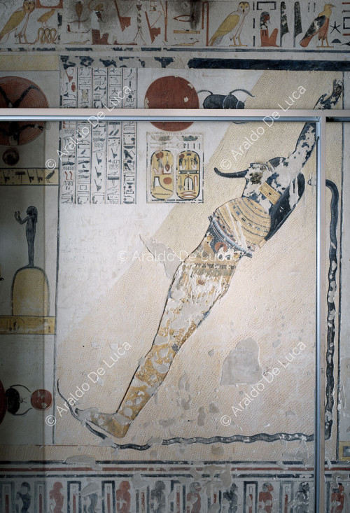 Osiris cyphallique
