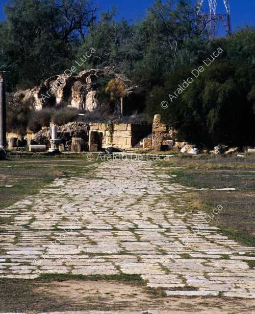 Leptis Magna. camino