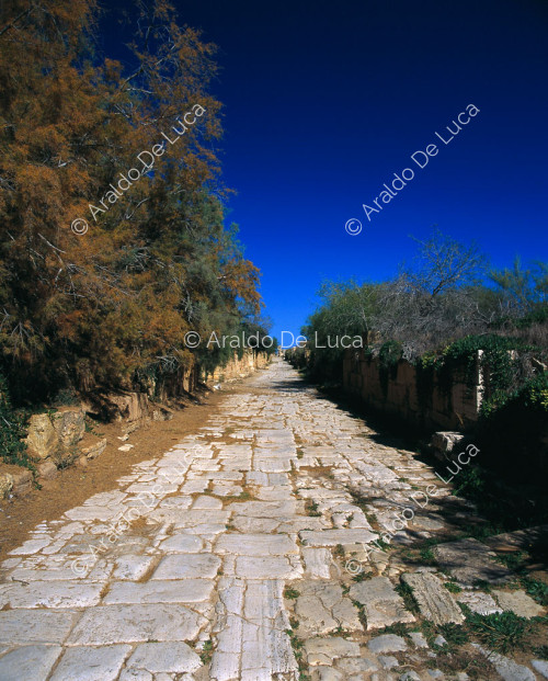 Leptis Magna, strada