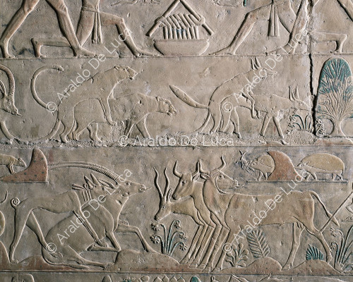 Rilievo dalla Mastaba di Ptahotep
