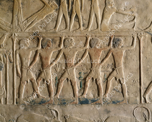 Rilievo dalla Mastaba di Ptahotep