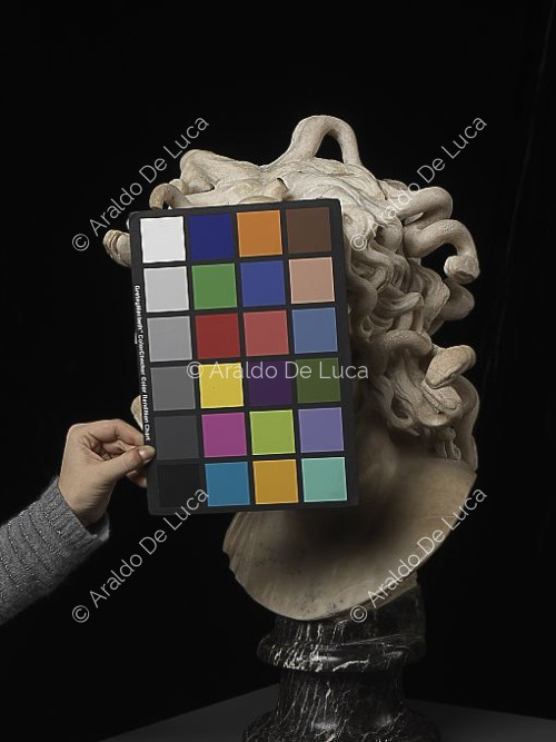 Busto di Medusa
