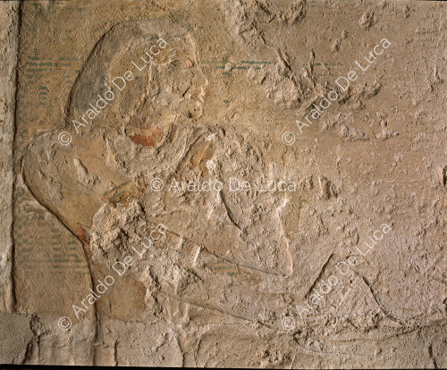 Sakkara - Saqqara - Saqqara