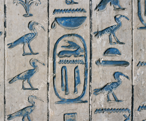 Sakkara - Saqqara - Saqqara