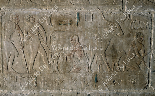 Mastaba von Niankhkhnum und Khnumhotep