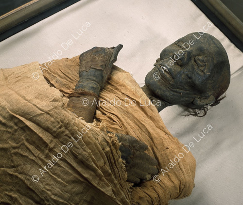 Royal mummies. Tutmosi II
