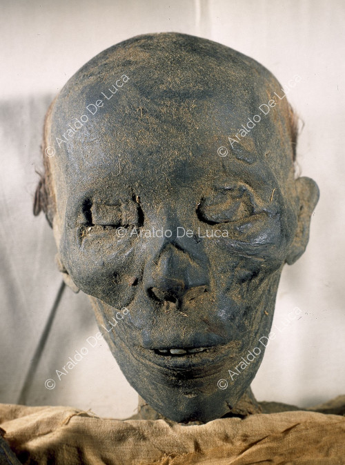 Les momies royales. Tutmosi II