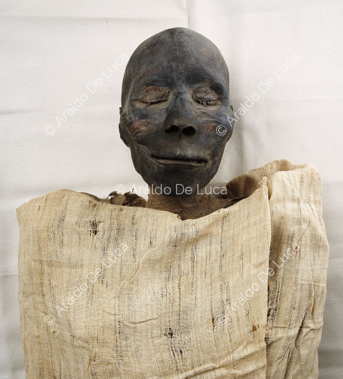 Royal mummies. Tutmosi I