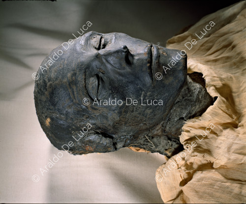 Mummie reali. Seti I