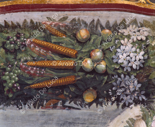 Festoons of fruit and flowers. Detail ' Loggia of Psyche '