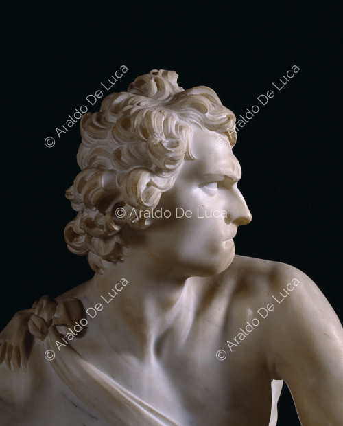 David. Detalle del posible autorretrato de perfil de Bernini