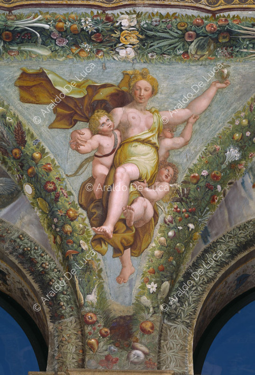 ' Venus transportada por los Amantes ' Lunetta. Logia de Psique
