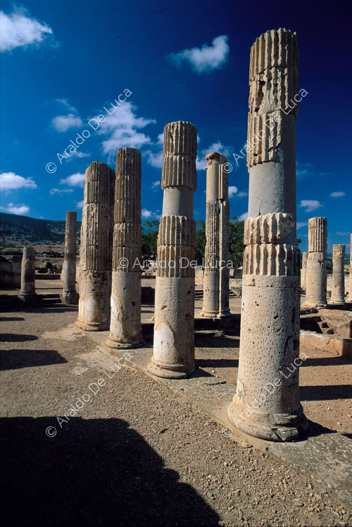Palacio de las columnas