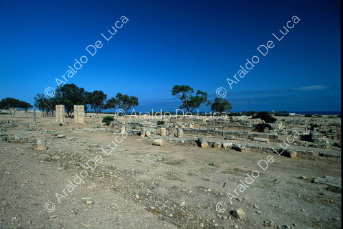 Vista sobre las ruinas del arco de Constantino