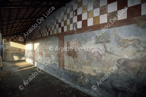 House of Lucretius Frontone. Peristyle. Fresco