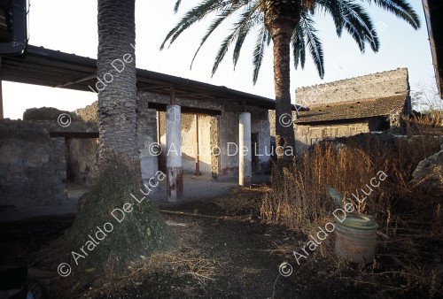 House of Lucretius Frontone. Peristyle and garden
