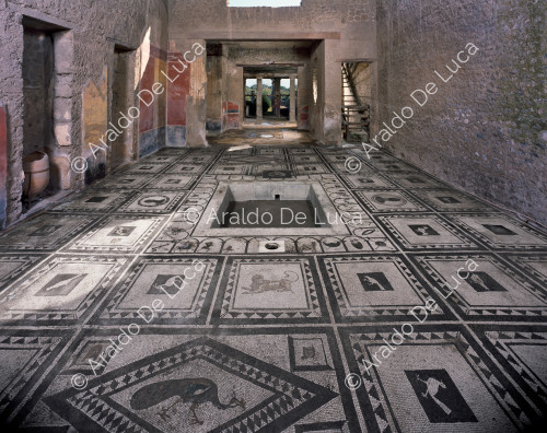 House of Cuspio Pansa or Paquius Proculus. Tuscanic atrium