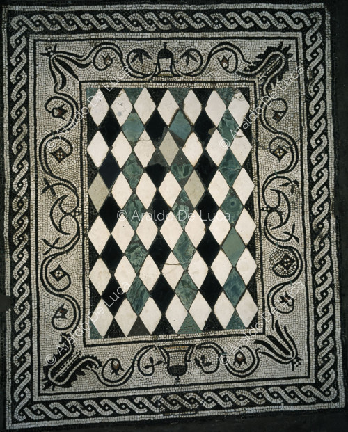 House of Ceii. Tablino. Floor mosaic