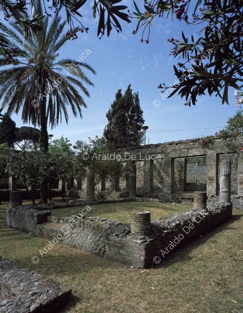 Villa of Diomede. Porch garden