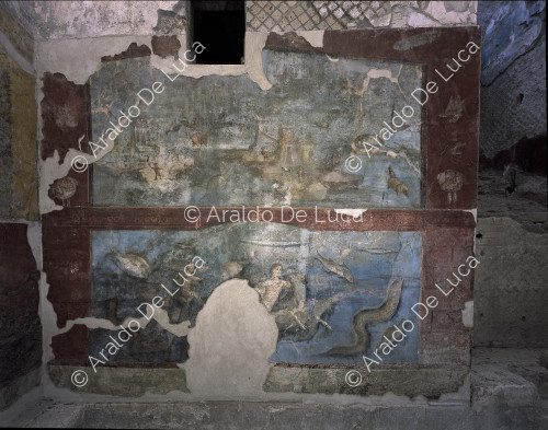 Suburban baths. Natatio. Fresco with Marine Venus