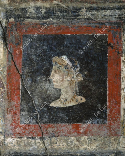Haus der Blumenkästen oder Obstgarten. Triclinium. Fresko mit weiblichem Büstenporträt