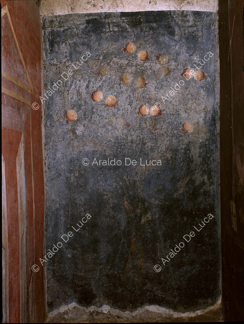 Grabmal von Vestorio Prisco. Fresko mit Granatapfelbaum. Ausschnitt