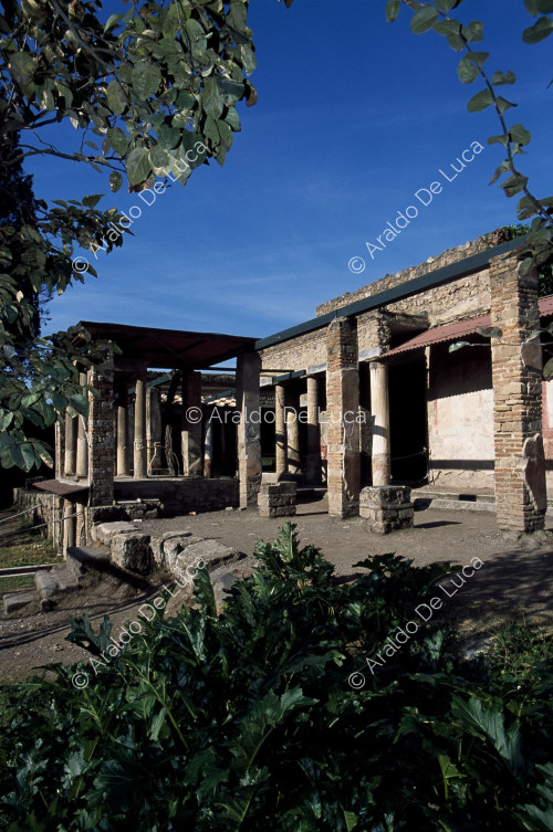 Casa di Loreio Tiburtino o Octavius Quartius. Euripo superiore