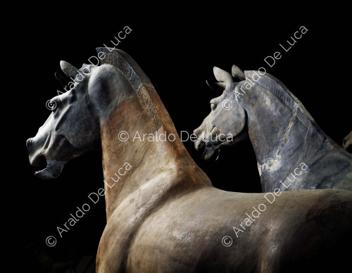 Terracotta Army. Horses